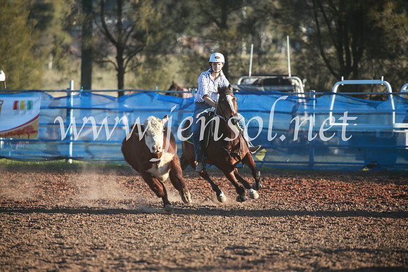 CCCampdraft2016_6826