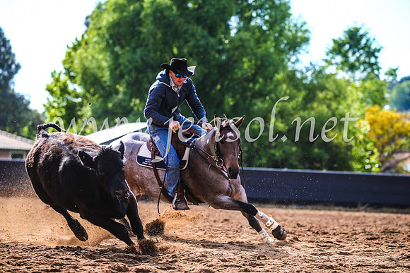 OrangeCampdraft2017_3832
