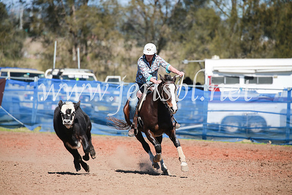 CCCampdraft2016_5644