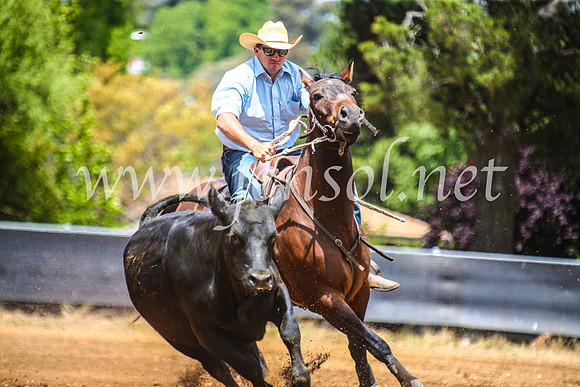 OrangeCampdraft2017_5611