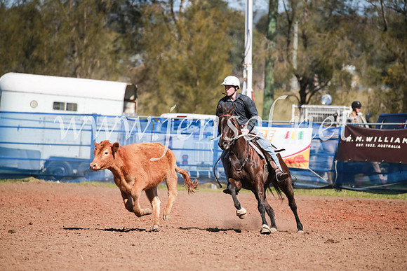 CCCampdraft2016_5882