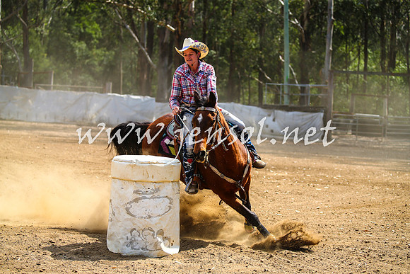 CooranbongSunTwo_3384