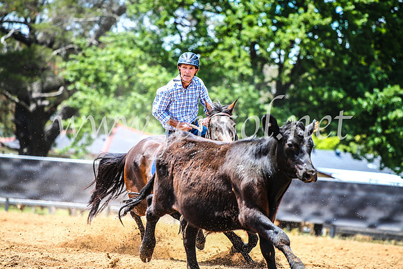 OrangeCampdraft2017_4898
