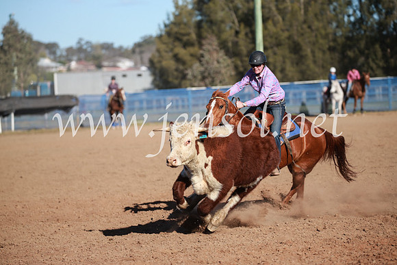 CCCampdraft2016_6457