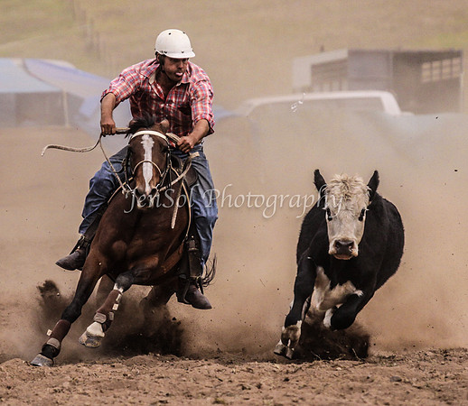 IMG_0700CabSat