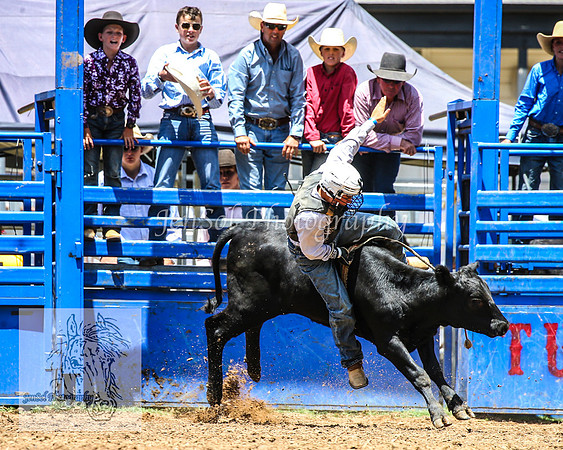 TumbarumbaRodeoNYD2025_0008