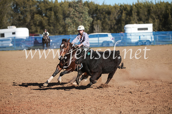 CCCampdraft2016_6293