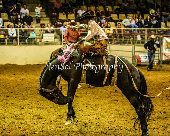 RealDealRodeoFeb2014_1815