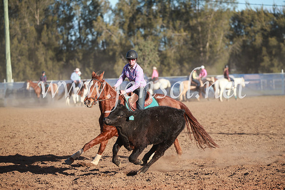 CCCampdraft2016_6791