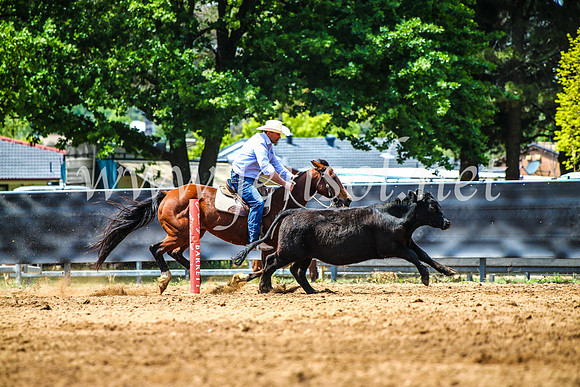 OrangeCampdraft2017_4623