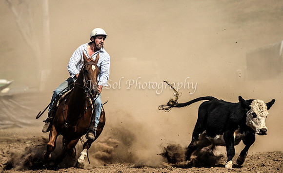 IMG_0592CabSat