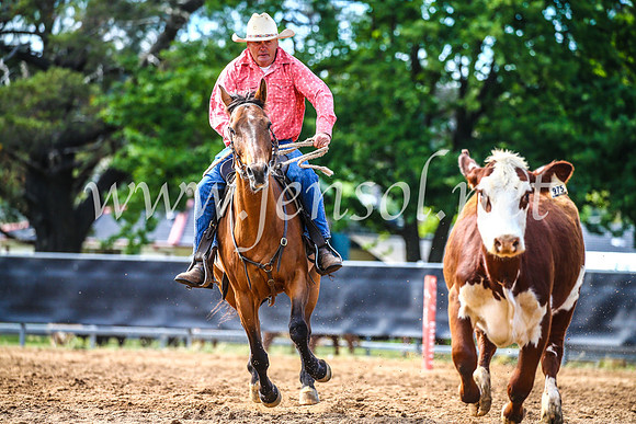 OrangeCampdraft2017_4096