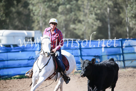 CCCampdraft2016_5791