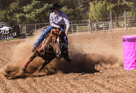 Dubbo2 028