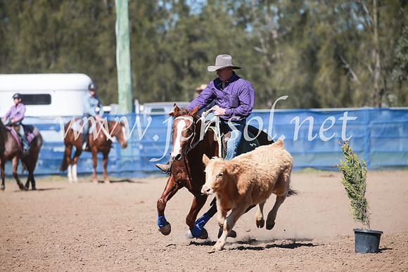 CCCampdraft2016_5876