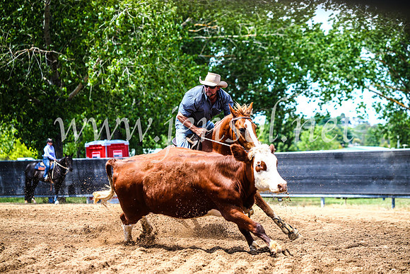 OrangeCampdraft2017_4712