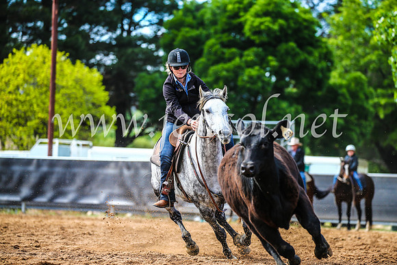OrangeCampdraft2017_4025