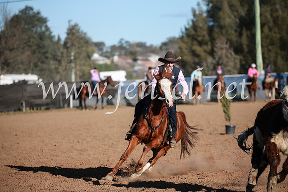 CCCampdraft2016_6676