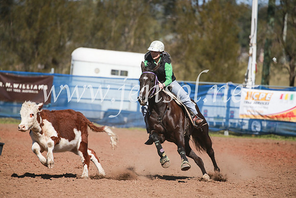 CCCampdraft2016_5735