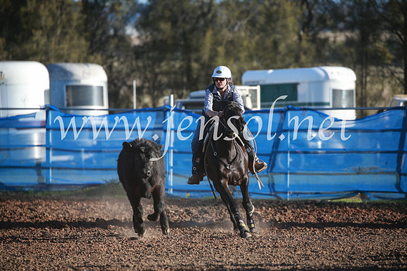 CCCampdraft2016_6643
