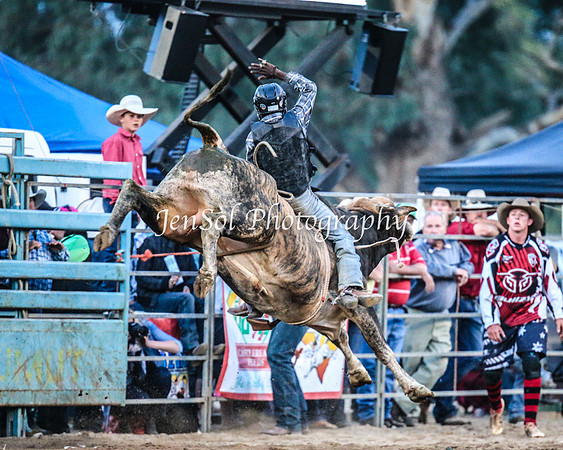 TumutRodeo2014_4239
