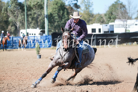 CCCampdraft2016_5690
