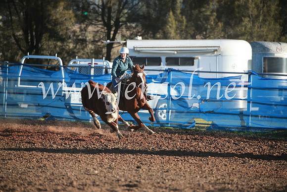 CCCampdraft2016_6661