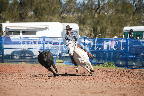 CCCampdraft2016_5908