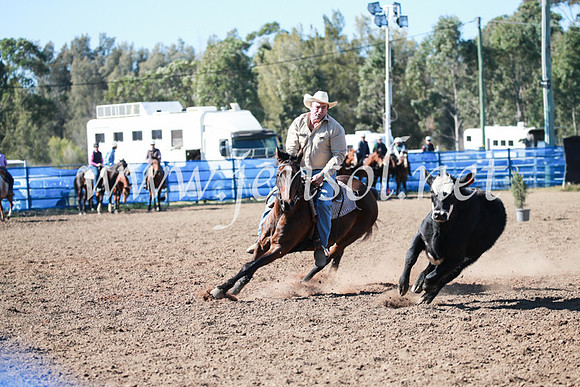 CCCampdraft2016_5328