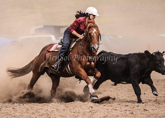 IMG_0692CabSat