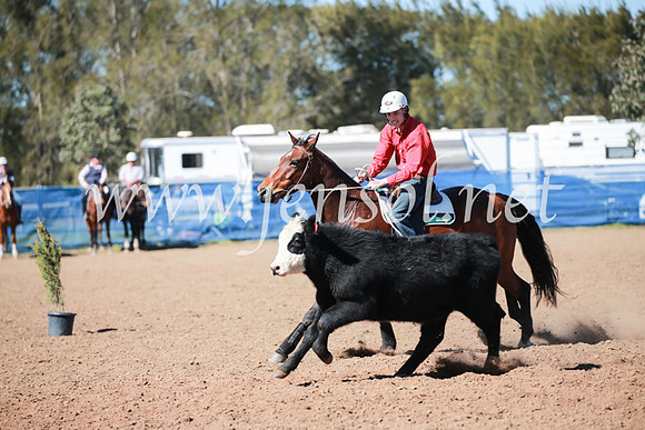 CCCampdraft2016_5509