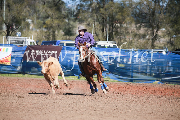 CCCampdraft2016_5873