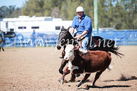 CCCampdraft2016_5775
