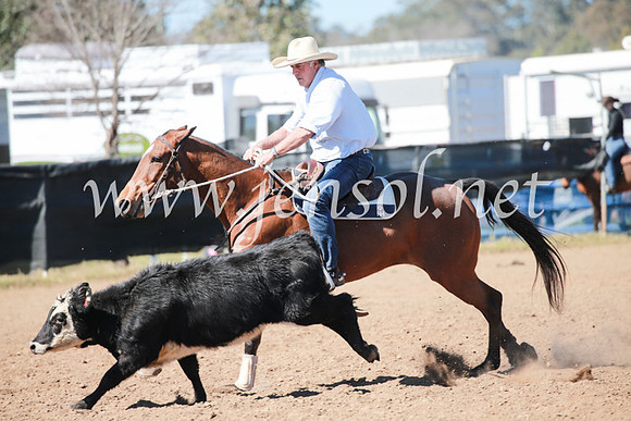 CCCampdraft2016_5572