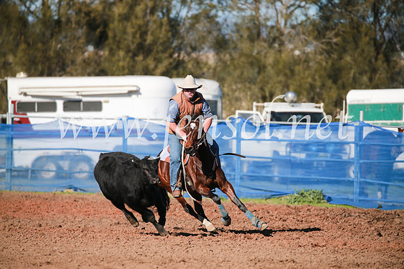 CCCampdraft2016_5226