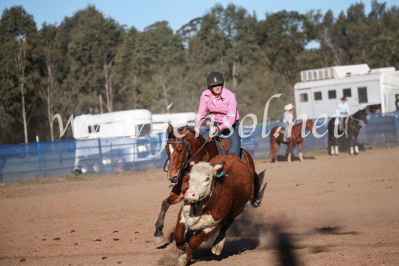 CCCampdraft2016_6559
