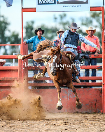 ForbesRodeo2014_2572
