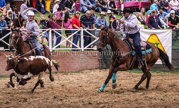 Cooma1_0587