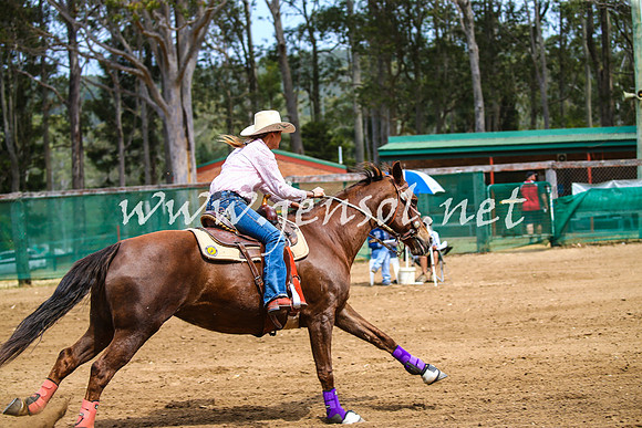 CooranbongSunOne_2789