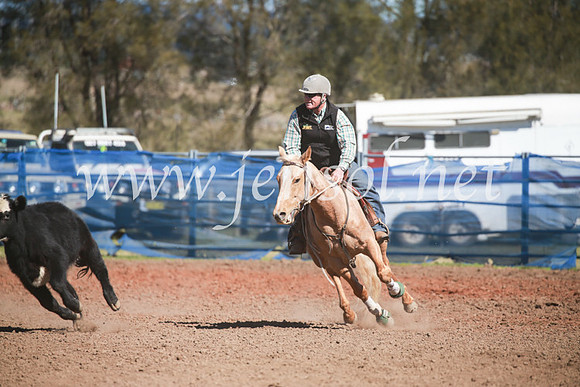 CCCampdraft2016_5965