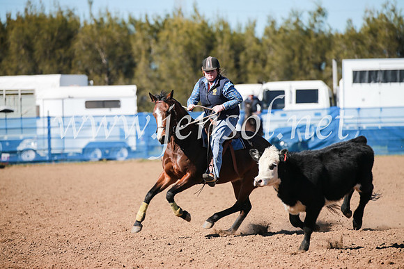 CCCampdraft2016_5356