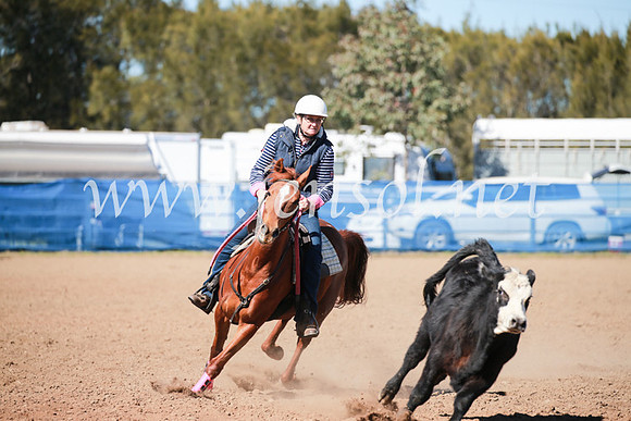 CCCampdraft2016_5584