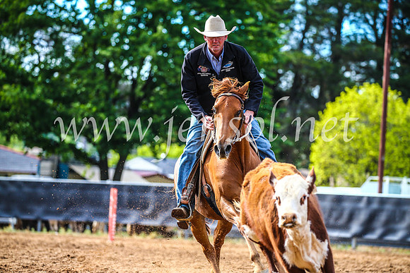 OrangeCampdraft2017_3919