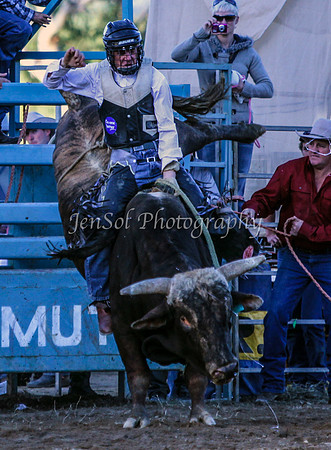 Tumut3_0068