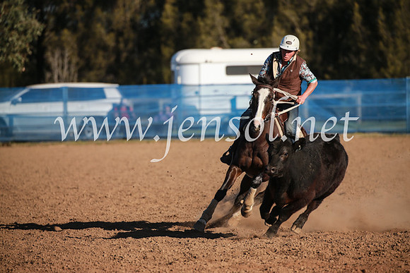 CCCampdraft2016_6616