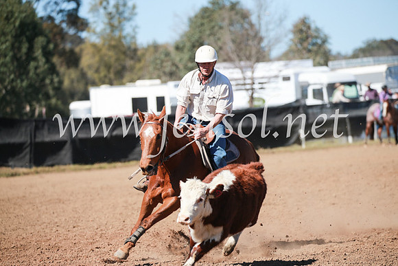 CCCampdraft2016_5818