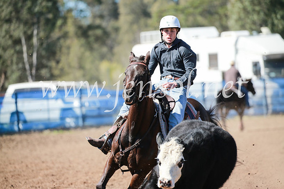 CCCampdraft2016_5611