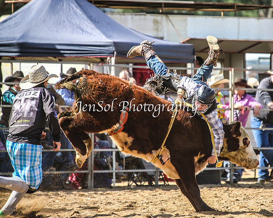 TumutRodeo2014_1430