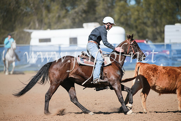 CCCampdraft2016_5889