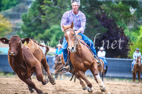 OrangeCampdraft2017_5813